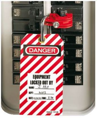 Afbeelding - 600873720240717-JPG